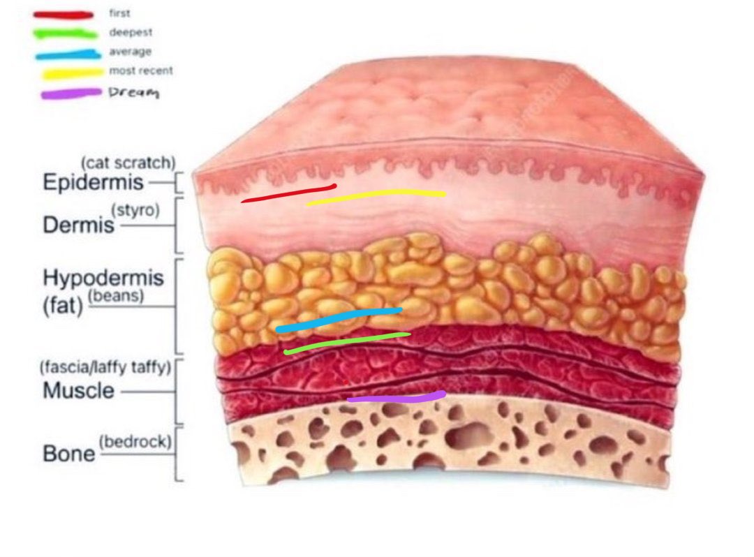 Jazmin6m4f's tweet photo. #shhtwt #shrtwt #slitwt #epidermis #dermis #hypodermis #laffytaffy #bedrock #catscratches #beans #styro https://t.co/1dWkoQc4ky