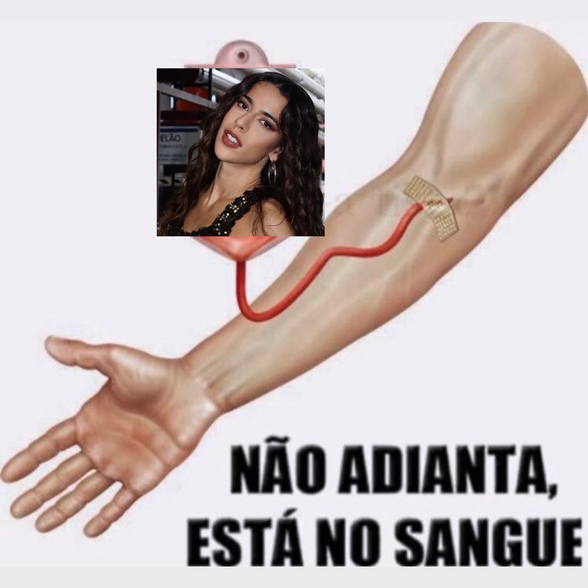 marinasenacervo's tweet photo. https://t.co/1dJNOUc5vL