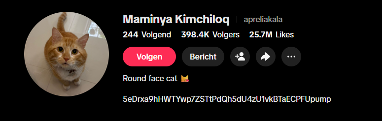 Trillyfann's tweet photo. @HookedOnMEME $kimchiloq is next cat runner. Owner onboarded, viral tiktok page. 

5eDrxa9hHWTYwp7ZSTtPdQh5dU4zU1vkBTaECPFUpump https://t.co/SOOx0HrjyZ