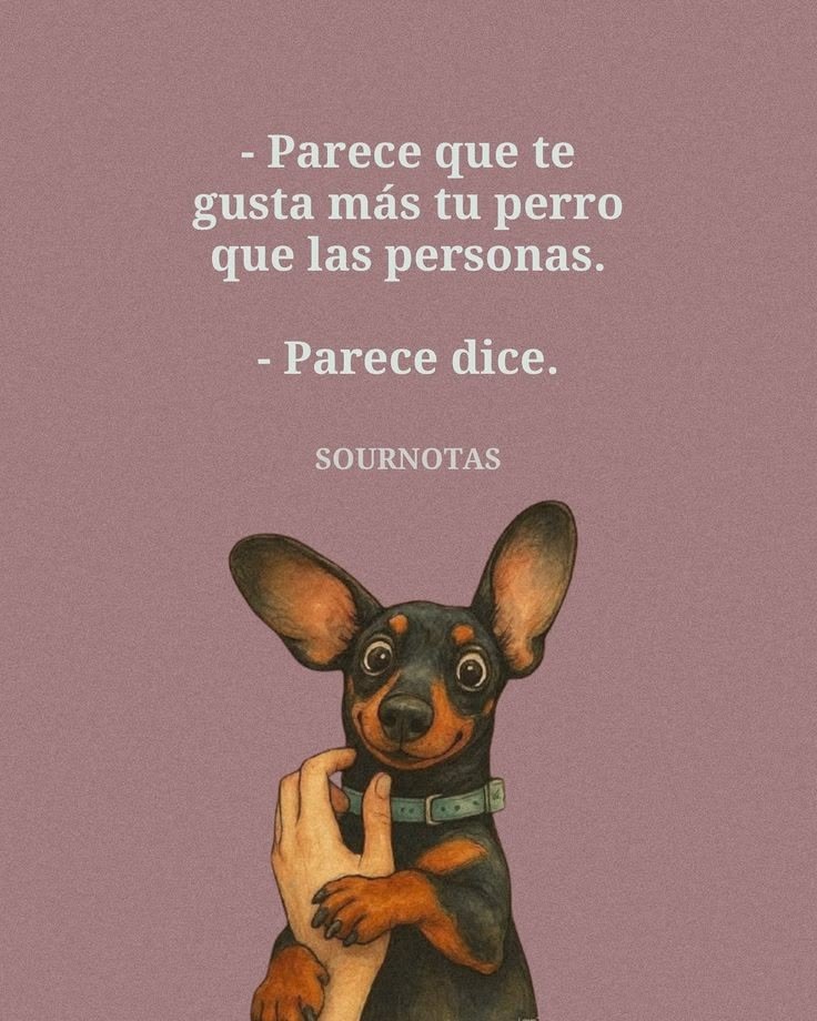 rey_latino33087's tweet photo. https://t.co/jxatyJ54x8