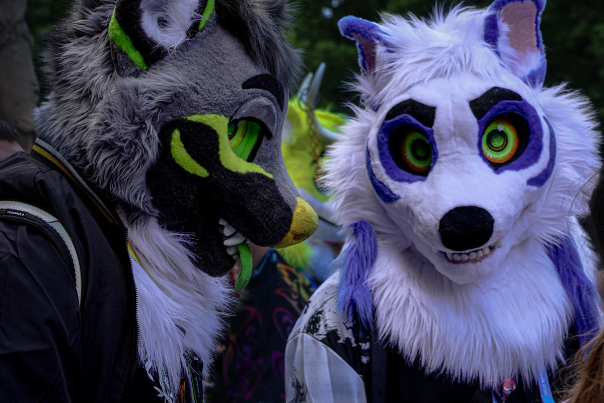 Rom_jiro's tweet photo. #FursuitFriday #fursuit
He told me something about you...
Wolverine is @darmetus 
✂️ @NijakPlayArt https://t.co/wH6QMkbnU7