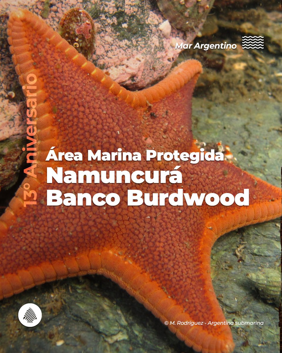 ParquesOficial's tweet photo. 🎂 ¡Hoy es el 13º aniversario del Área Marina Protegida Namuncurá - Banco Burdwood! 🌊

📍 Ubicada en el Océano Atlántico Sudoccidental, fue creada en el 2013 y es la primera área marina protegida del país 🇦🇷.

¡Felicidades Namuncurá - Banco Burdwood! 🙌🥳

#ParquesNacionales https://t.co/5M1jEoFmkT