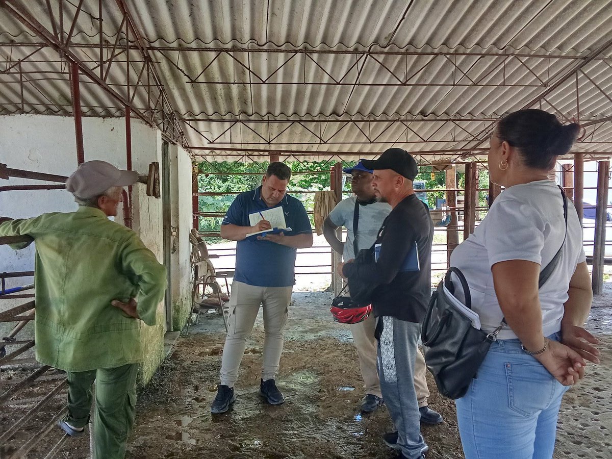 villacons's tweet photo. #10AñosECMVC🇨🇺👷‍♂️En aras de mejorar el funcionamiento de las tres fincas de la UEB # 6 Servicios Integrales al Constructor de la #ECMVC y a su vez, elevar su productividad, Reinier Ruiz Ferrer, director de la empresa, visitó los lugares e  intercambió con sus trabajadores. https://t.co/sSTjAQAFrb