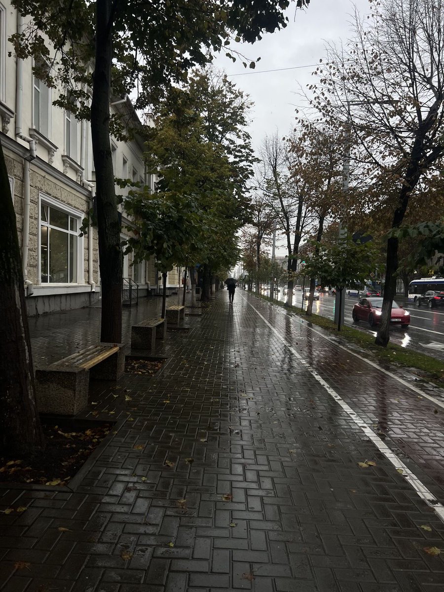_Naturaee's tweet photo. rainy days in New York https://t.co/QLpwagual8