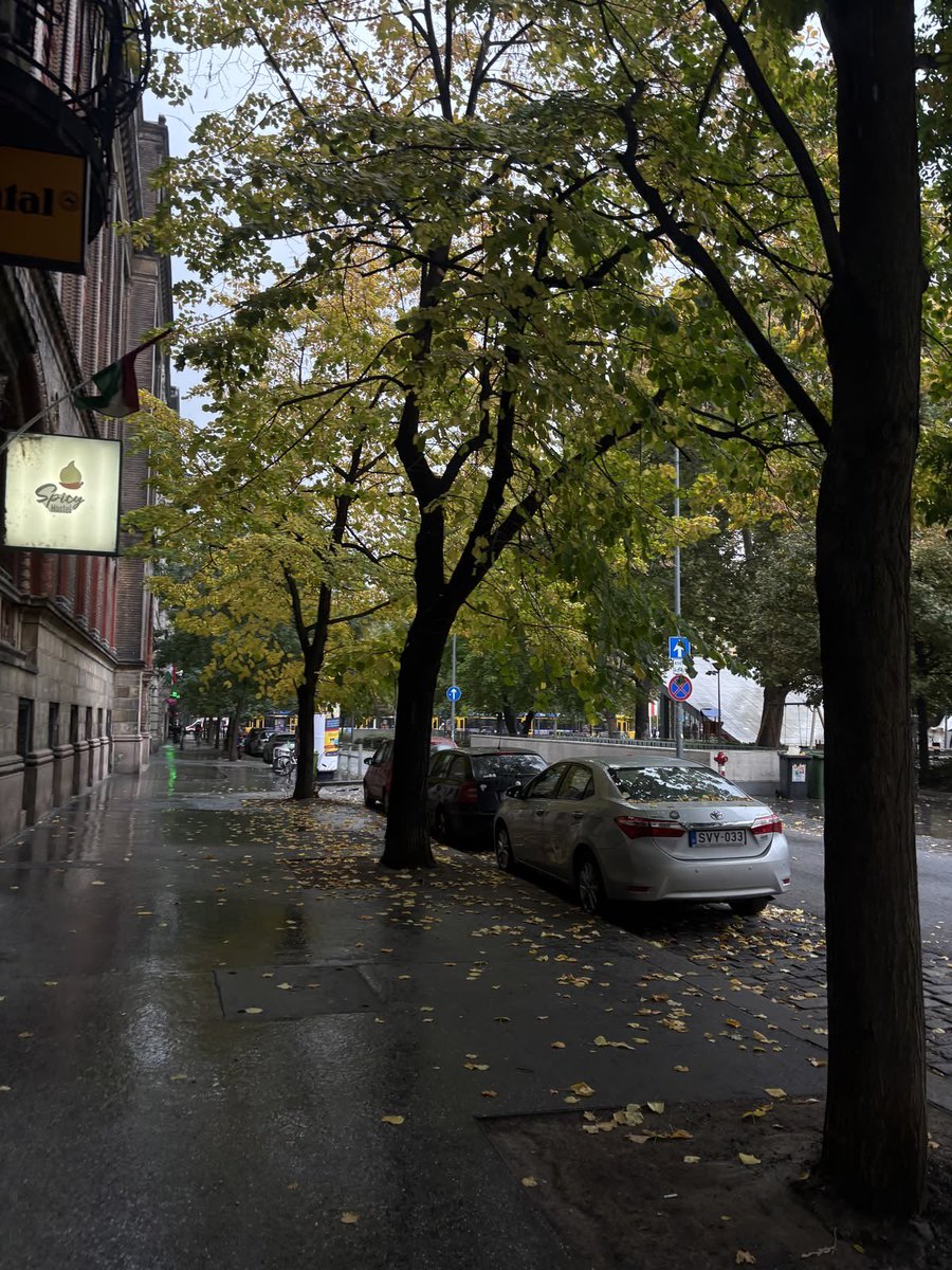 _Naturaee's tweet photo. rainy days in New York https://t.co/QLpwagual8