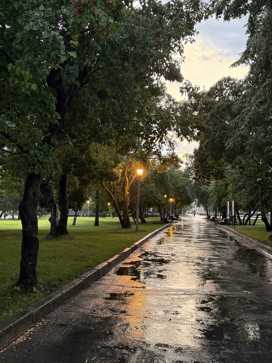 _Naturaee's tweet photo. rainy days in New York https://t.co/QLpwagual8