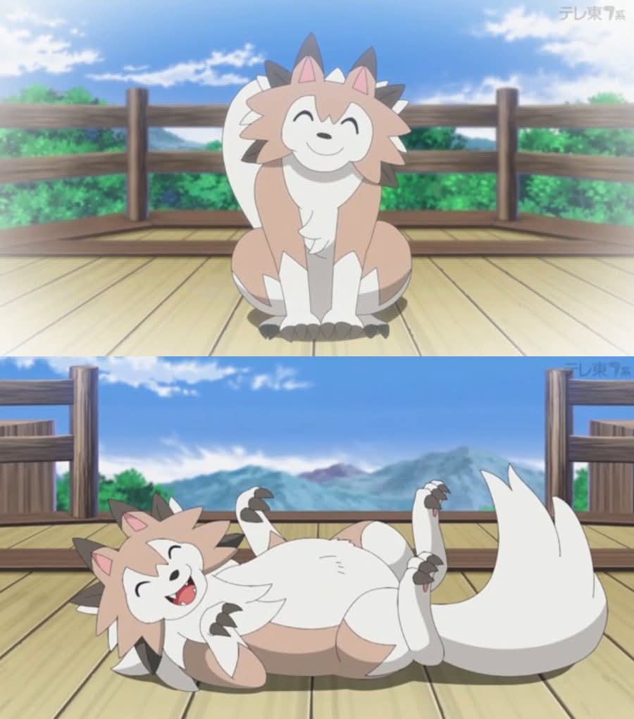 Danielf35546830's tweet photo. @RanguGamer Rangu el anime introdujo una nueva forma de lycanrock, lycanrock forma DIA-BETES

Su dueño le dio demasiados pasteles cuando era un rockruff y así adquirió está forma al evolucionar https://t.co/6SqxM2Ro3Z