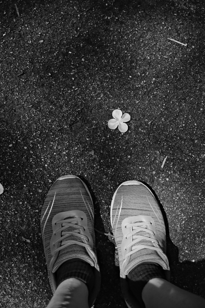 yamaguchi217's tweet photo. ⁡Location: osaka Japan
Camera: FUJIFILM X-T5
Lens:#Xf27mmF28RWR
#今日もx日和 
#FUJIFILM
#写真は心のシャッター
#色に恋する富士フイルム https://t.co/3mNsAmgvPS