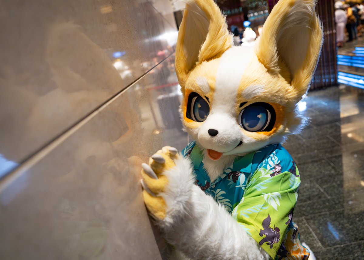 雪梨 tweet media