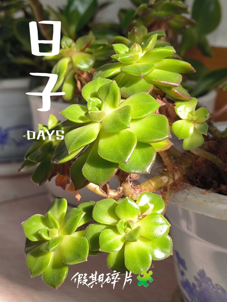 WUwzRZlShgW7ZgK's tweet photo. Turn an old glass jar into a cute plant pen holder! It’s super easy and eco-friendly—perfect for your desk https://t.co/G18vSGRv0m