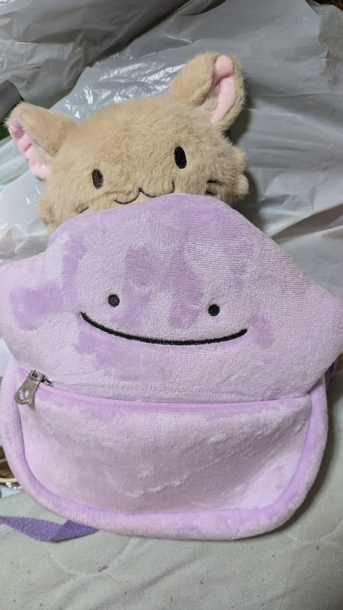 mikitmtm0421's tweet photo. 色々グッズ作った！
持ってきたけどキャリーパンパン笑
4日飛行機乗って向かいます！！
1日目参戦です！！

楽しみましょー！！

#TOP4inTOKYODOME
 #TOP4   #TOP4好きと語りたい https://t.co/dACK3UgsQr