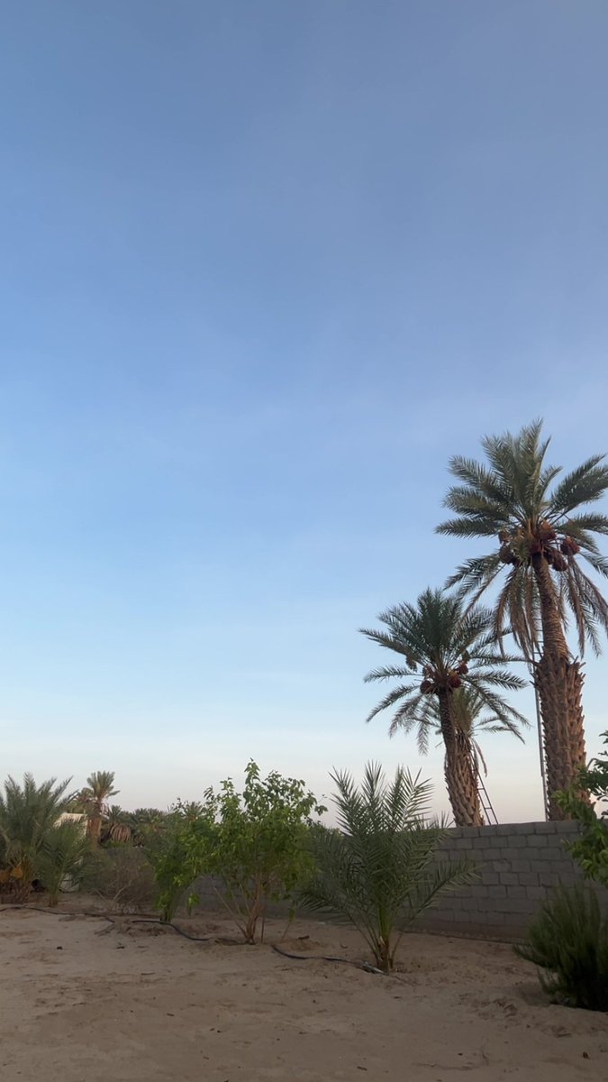 522R_'s tweet photo. اللهم السِّعة التي لا يضيق لنا بها أمراً ولا سكناً، ولا صدراً، اللهم الرحابة والتيسير الذي يجعل كل شيء سهل وهيّن وقريب. https://t.co/ExA2ucT9po