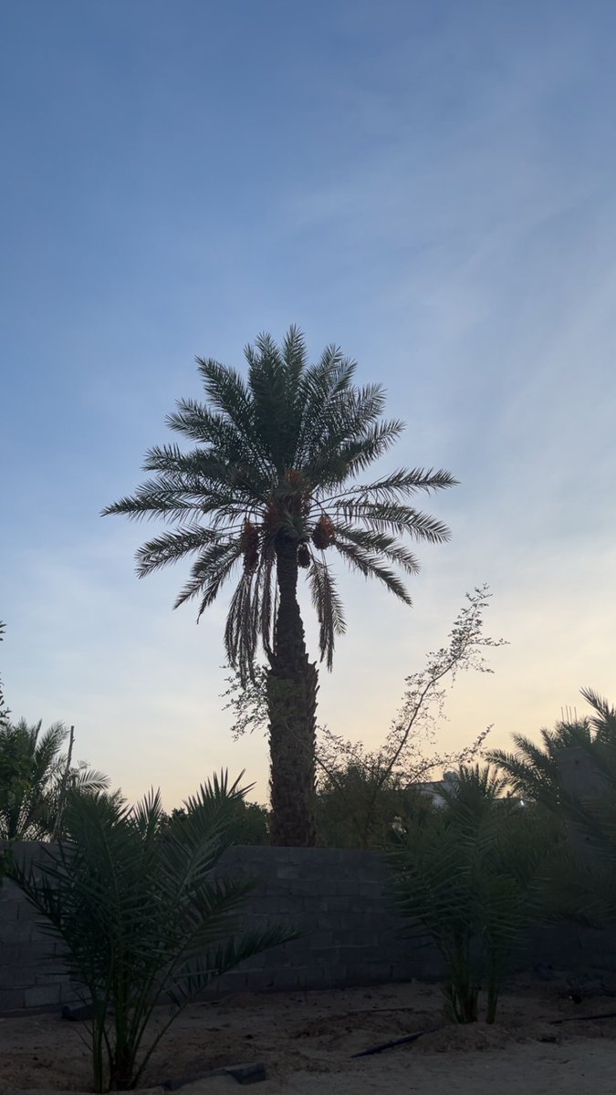 522R_'s tweet photo. اللهم السِّعة التي لا يضيق لنا بها أمراً ولا سكناً، ولا صدراً، اللهم الرحابة والتيسير الذي يجعل كل شيء سهل وهيّن وقريب. https://t.co/ExA2ucT9po