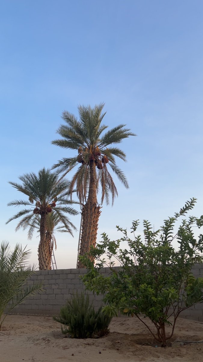 522R_'s tweet photo. اللهم السِّعة التي لا يضيق لنا بها أمراً ولا سكناً، ولا صدراً، اللهم الرحابة والتيسير الذي يجعل كل شيء سهل وهيّن وقريب. https://t.co/ExA2ucT9po