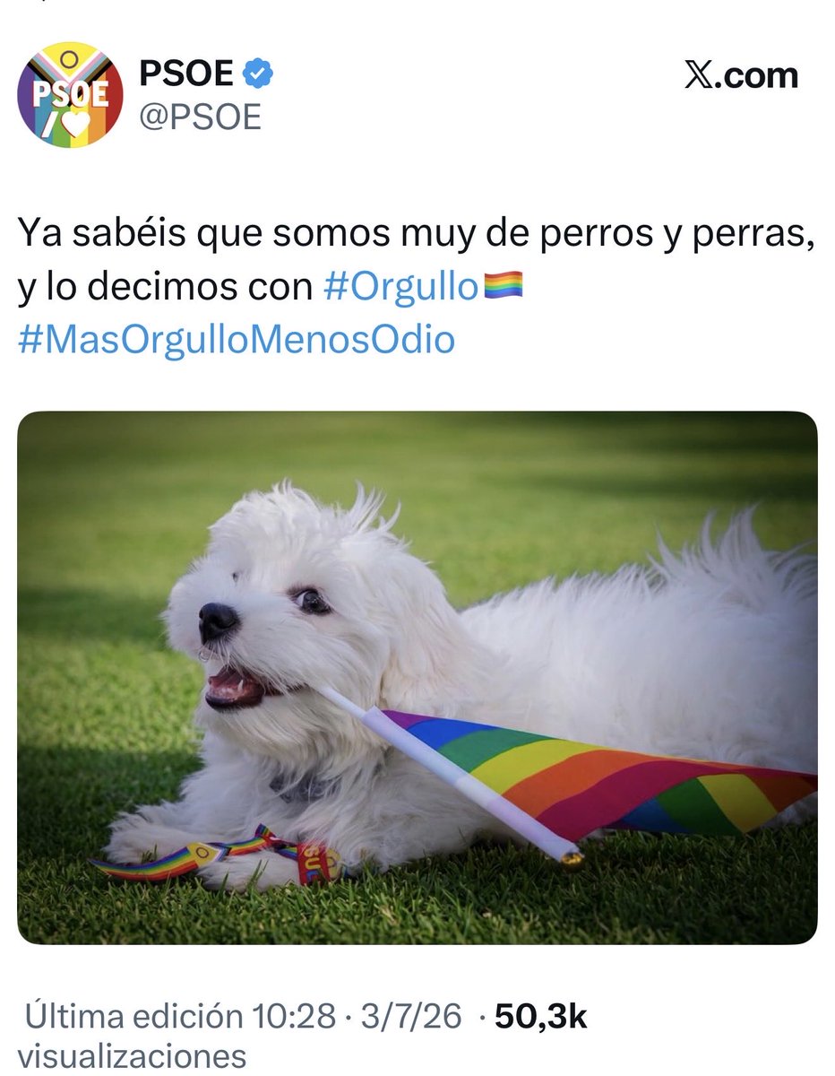infovlogger36's tweet photo. La izquierda preguntándose por qué el obrero ya no les vota. https://t.co/R6Eh0OT9dH