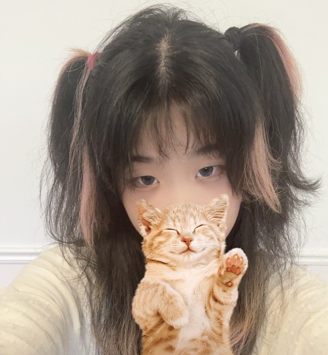 moedollll's tweet photo. pigtails ! https://t.co/newU3P9Let