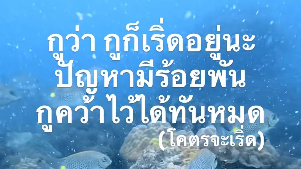 bbigkachu's tweet photo. นักคว้ามือทอง 55555 https://t.co/nSj7czoYZe