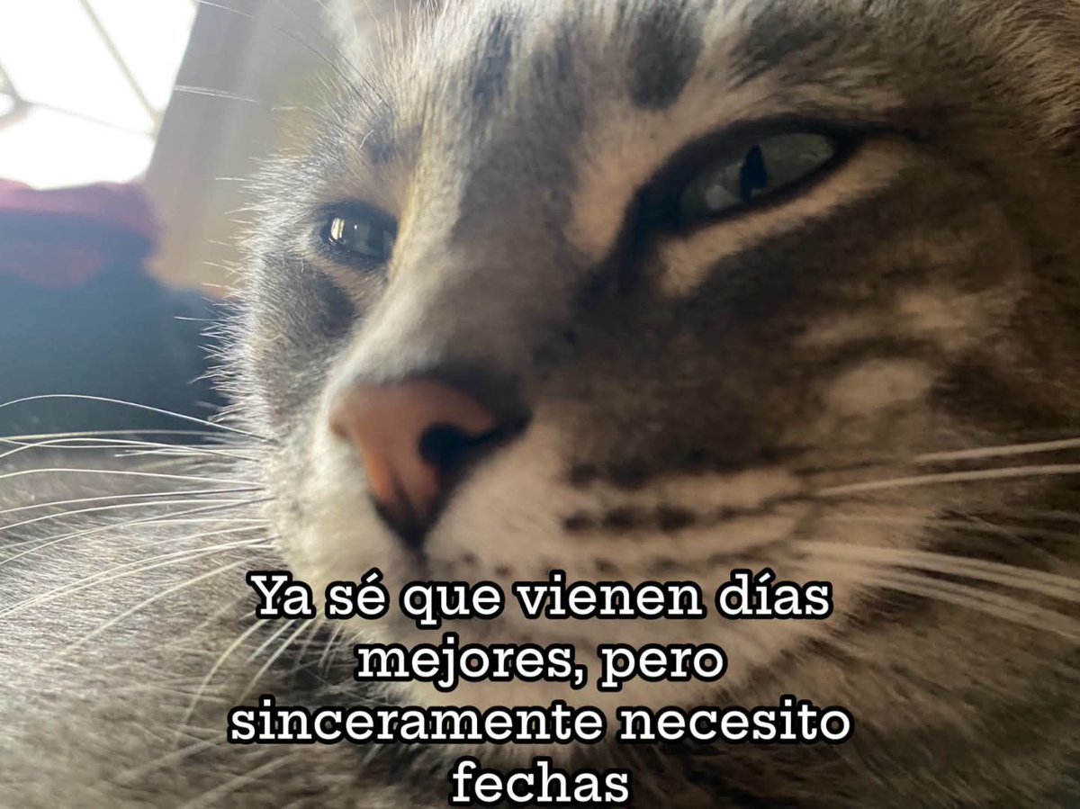 ojoscol0rsol's tweet photo. https://t.co/KtsYPi8gtI