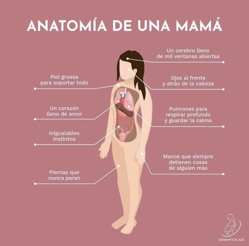 porlavida2014's tweet photo. Anatomía de una #mama, sin ellas, ninguno de nosotros estaríamos aquí. 
#SiALaVida https://t.co/hJJjG69kBA