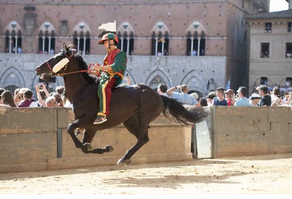 valcast98's tweet photo. Occasione anche per Grandine, che monta per l'Oca un altro cavallo già vincitore, Benitos, autore nel 2024 - da esordiente - di una prestazione sontuosa e per l'ultimo vincitore Gingillo con Viso d'Angelo per la Civetta. Coppia da osservare: Fastidio su Eberardo per il Drago. https://t.co/UH4awKpVas