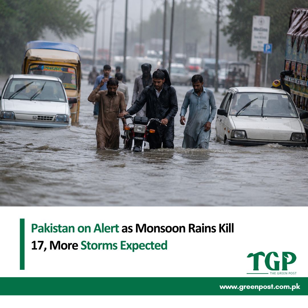 GreenPostpk's tweet photo. Pakistan on alert as monsoon rains kill 17 and officials warn of more heavy rainfall, rising rivers and possible flooding across multiple regions.
Read full story here: https://t.co/qFgFWsCQUT
#Monsoon #Floods #Pakistan #ClimateChange #WeatherAlert #TheGreenPost https://t.co/zHGXThHAcg