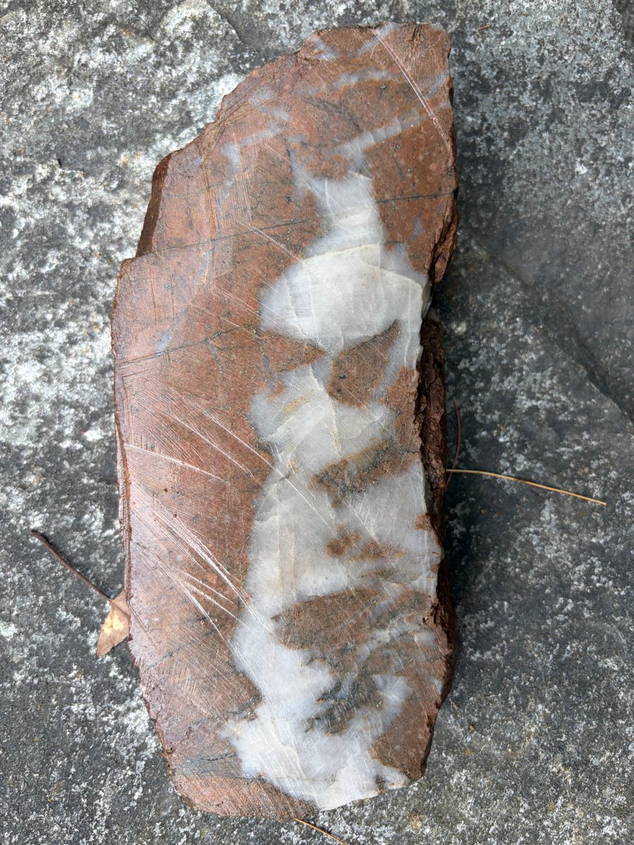 RenforthRes's tweet photo. July!
Going to be an interesting month for Renforth Resources Inc. (CSE:RFR)
You will want to be subscribed to our newsletter so you are amongst the first to know about our channel sample assay results from our Parbec hashtag #Gold Deposit, beside @agnicoeagle's Canadian Malartic Mine AND stay on top of the news as we drill our Victoria Ni/Cu/Zn deposit as well!
Just for fun - specimen sample of Parbec felsite material, assays pending.
https://t.co/L8X7tQzJHb

#RFR #RFHRF $RFR $RFHRF #copper #nickel #zinc #AEM #criticalminerals #pennystock #golddeposit