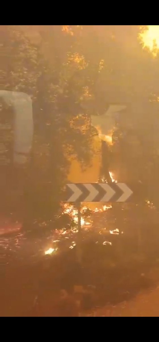 RamonIglesias68's tweet photo. El primer conseller o president que es presenti a l'incendi de l'Empordà i parli de plans forestals, reforestació, ajuts, d'arribar fins el final, de pena immensa, o qualsevol merda així, enquintraneu-lo i emplomeu-lo... penseu que encara no han tret troncs de la nevada de 2010. https://t.co/eSoziQ531D