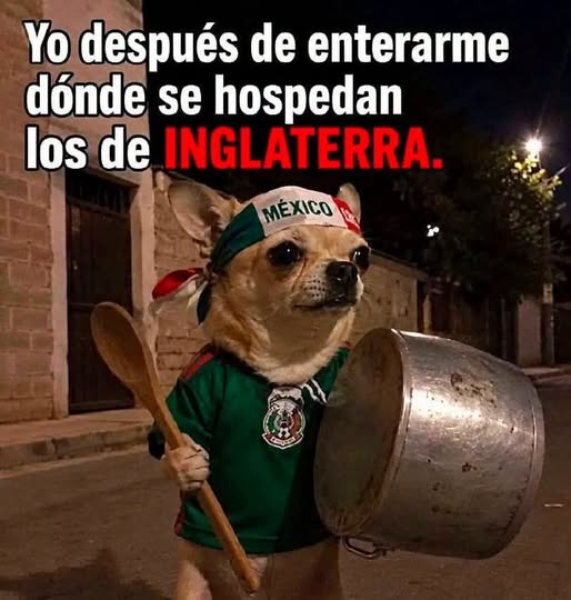 LAPULGATUSA's tweet photo. https://t.co/wAb99hKfBM