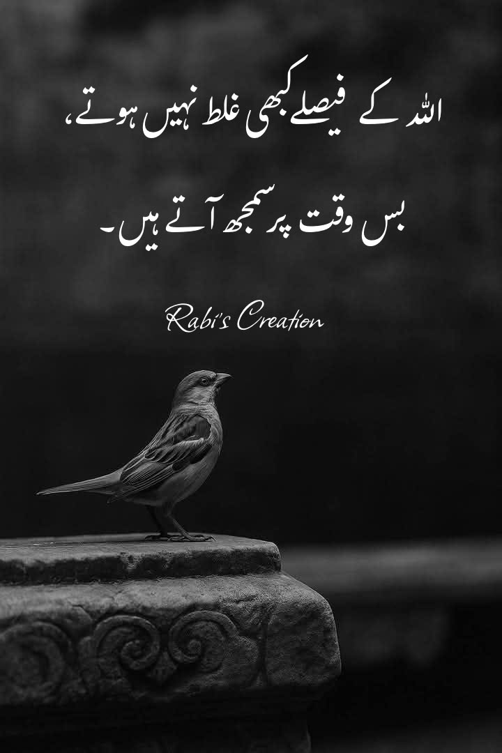 Sumbhal2joh's tweet photo. https://t.co/iUxDzi3kcE