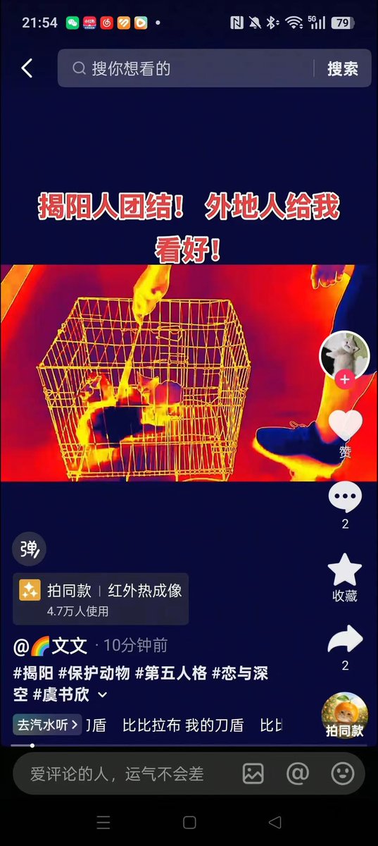 jiaxin_1995's tweet photo. 广东揭阳 虐狗事件后续 村民不满网友抵制 烧死小猫 且发上网 https://t.co/rq1lovZkzs