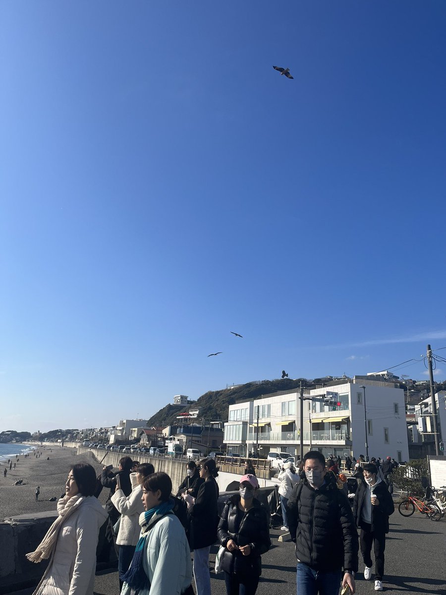 zero_to_10man's tweet photo. Japan 🇯🇵 
Enoshima 🌊 https://t.co/UYp8RRI2xd