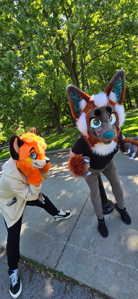 HamburgerFox's tweet photo. 🦊 Foxes doing what foxes do for this #fursuitfriday with @orionthefox 🌌

🐺📸: @TruffleGoob

#fursuiting #furry #furryfandom #furries https://t.co/c2k9rQKH4S