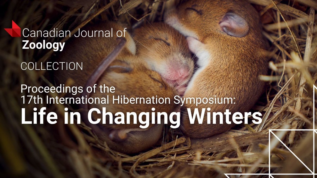 cdnsciencepub's tweet photo. Explore the @canjzoology collection, "Proceedings of the 17th International Hibernation Symposium: Life in Changing Winters."
View here: https://t.co/ALtrG7CzoZ
#Hibernation #Zoology #Ecophysiology https://t.co/0b4pT3gSs6