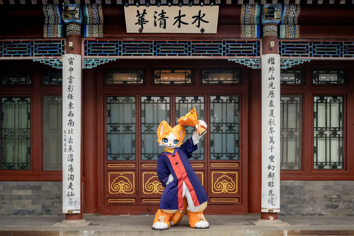 Meow_Meejaw's tweet photo. 猫猫众第二席「博士」 Meeow

🐱：绒秋
📷：果冻和可丽 

2026.6·北京 https://t.co/f7buaGLcXO
