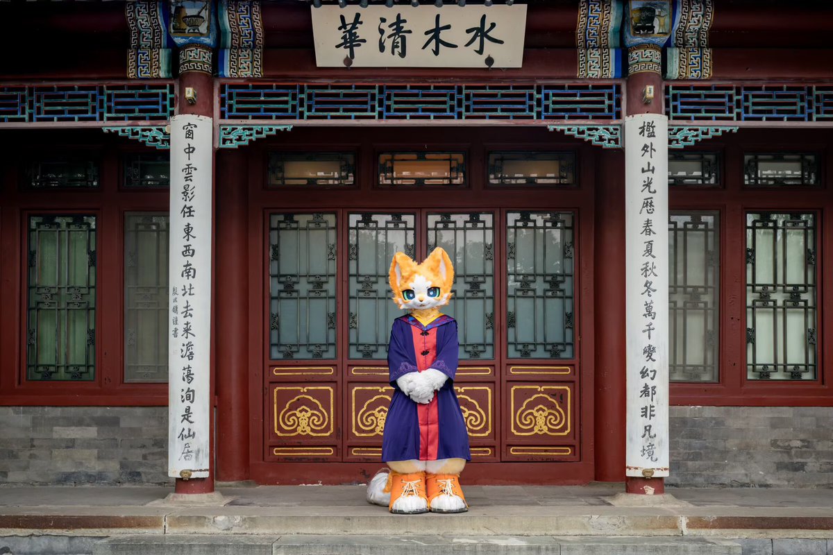 Meow_Meejaw's tweet photo. 猫猫众第二席「博士」 Meeow

🐱：绒秋
📷：果冻和可丽 

2026.6·北京 https://t.co/f7buaGLcXO