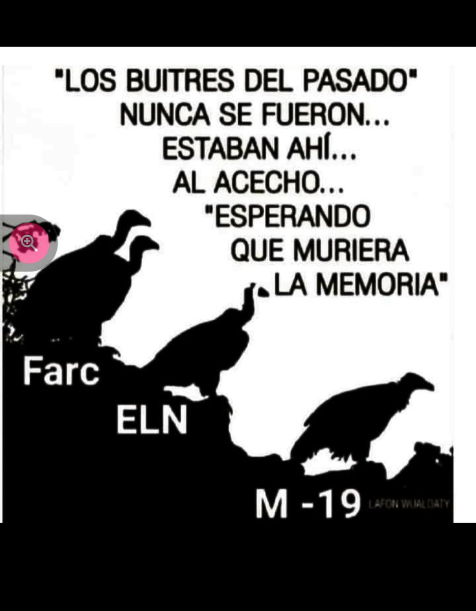 jmob27's tweet photo. @JenniferPedraz @ABDELAESPRIELLA Y Usted Es Nadie Para Cuestionar, Solo Otro Esbirro Más Del progresismo Putrefacto https://t.co/L6R4RPJUya
