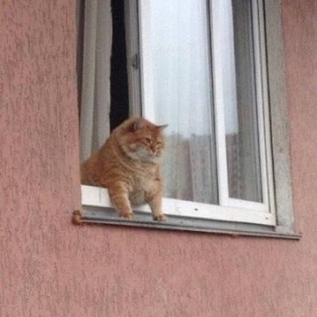 Cogn1tron's tweet photo. Me waiting for @PhilDursey to release the full version of Red Teaming AI in spring of 2027 while simultaneously wondering how I will possibly ever recover from the release of GTA 6 in November 2026. https://t.co/DyE4z0Ycw6