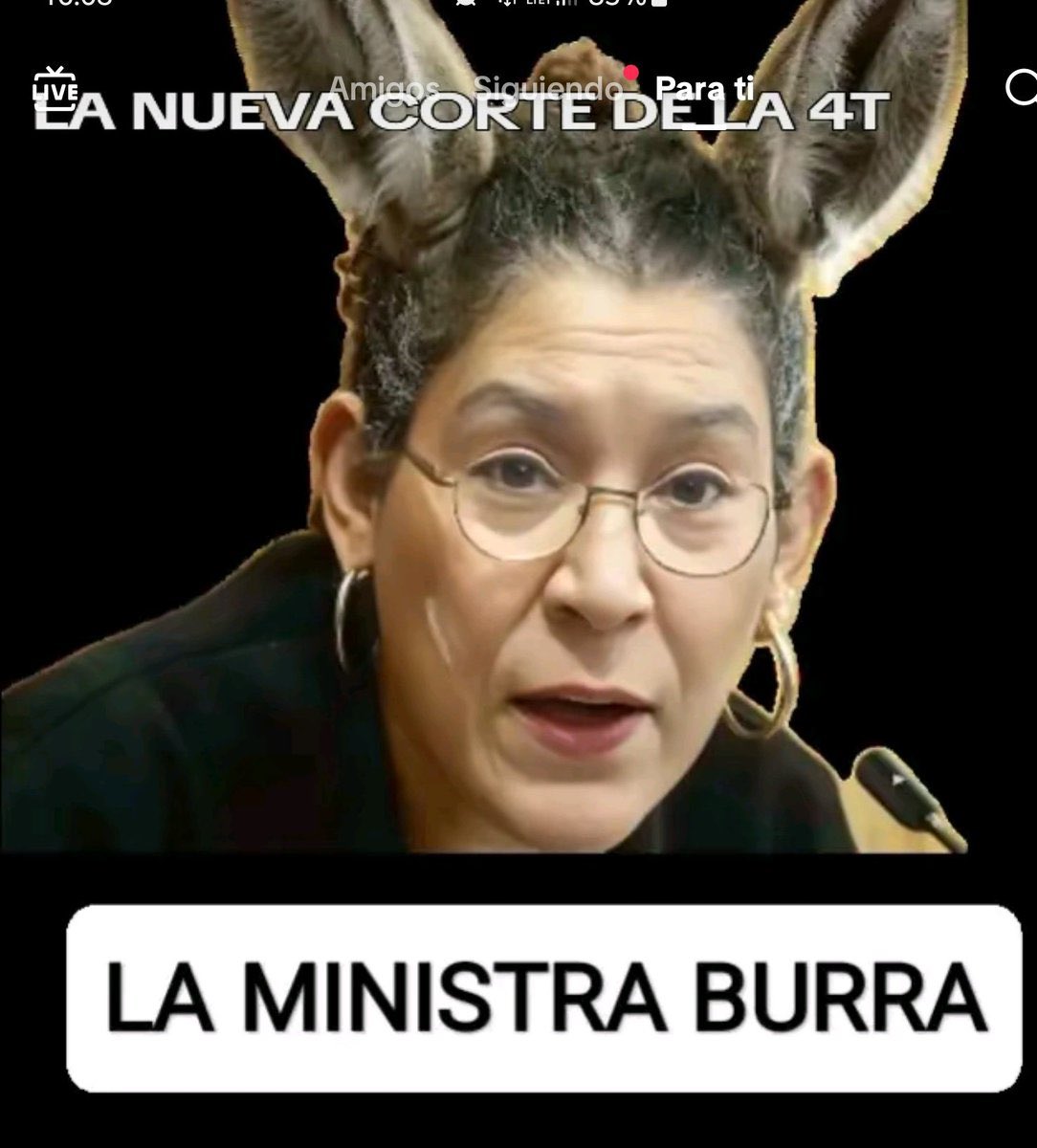 CastillaBerthis's tweet photo. @RicardoBSalinas @Griego5Salgado Y todos los morenarcos que, cuando les descubren sus propiedades, dicen que las heredaron… ¿habrán pagado impuestos de sus herencias?
#MinistraBurra https://t.co/UIO8NJNXaC