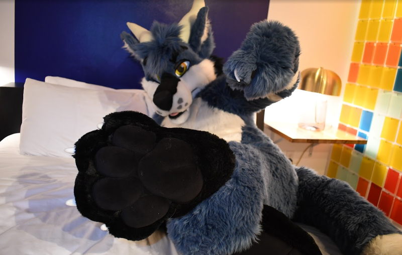 dirdwolf's tweet photo. surprise for you #fursuitfriday

@madefuryou https://t.co/r84a2Y13vh