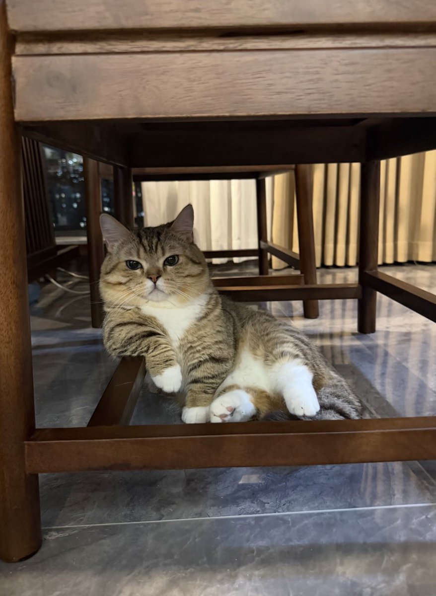 twaniimals's tweet photo. https://t.co/XwPF0Mi6xR