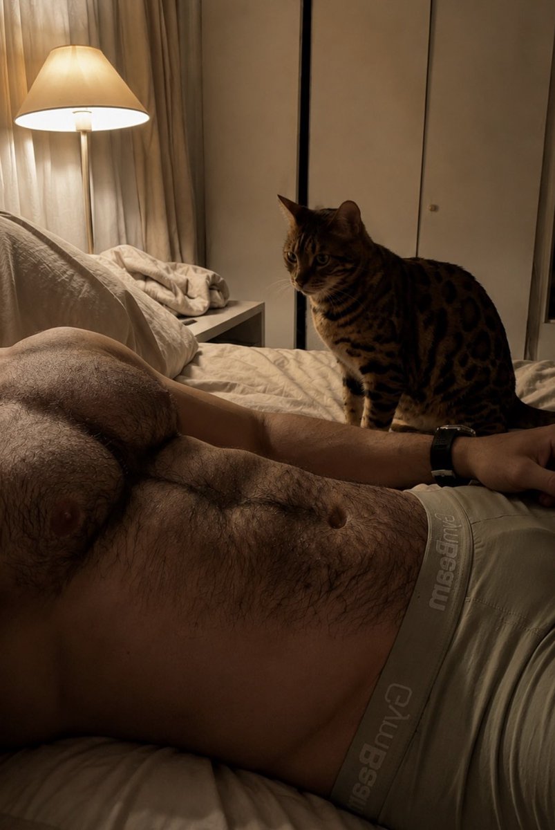 lastanimal_xl's tweet photo. Meow 😻 https://t.co/aApSYmwAJn
