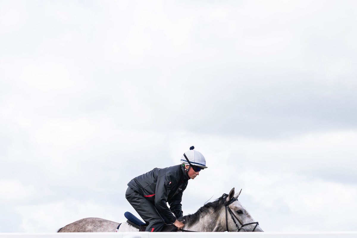 Archie Watson Racing tweet media
