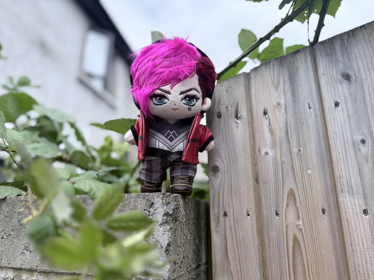 bottomkiramman's tweet photo. A raspberry bush held big ass plush Vi in place for me to take that high ground picture 😭
They are so cute https://t.co/JFjFBSIwFj