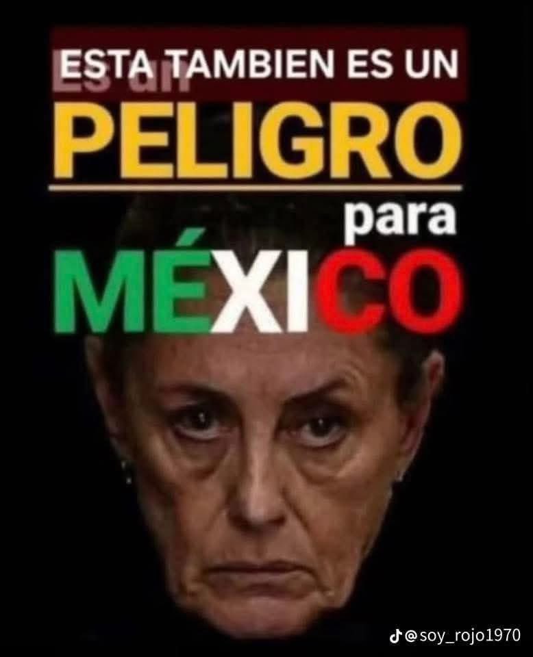 Necastanon19's tweet photo. @RicardoBSalinas Robar de diestra y siniestra. Eso es la 4T https://t.co/esFKt3XZjO
