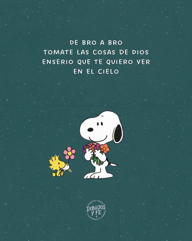 elsiervo__'s tweet photo. Por favor. https://t.co/mOyda3juST