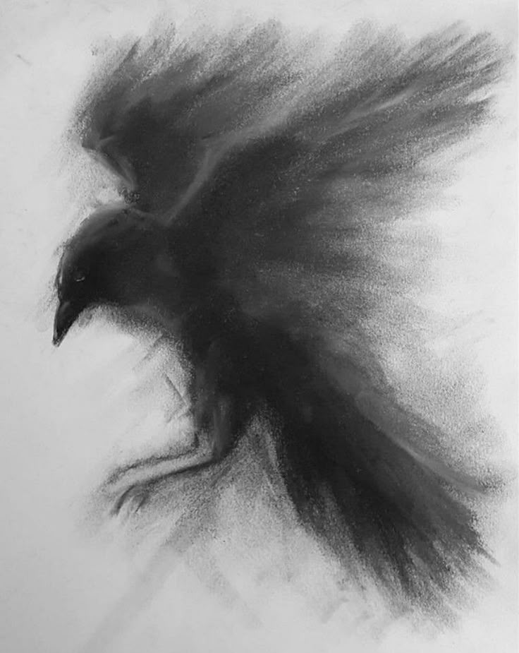 darkdreamvibe's tweet photo. https://t.co/pVyZgyHSPb