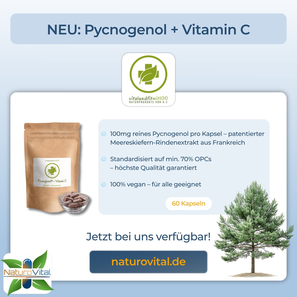 naturo_vital's tweet photo. 🌲 NEU: Die Kraft der französischen Seekiefer in Premium-Qualität! 💊

🔗 https://t.co/Ifv1B1DpSw

#pycnogenol #opc #antioxidantien #herzkreislauf #immunsystem #entzündungshemmend #pflanzenstoffe #nahrungsergänzungsmittel #NaturoVital #supplements https://t.co/0sfjVbLXOp