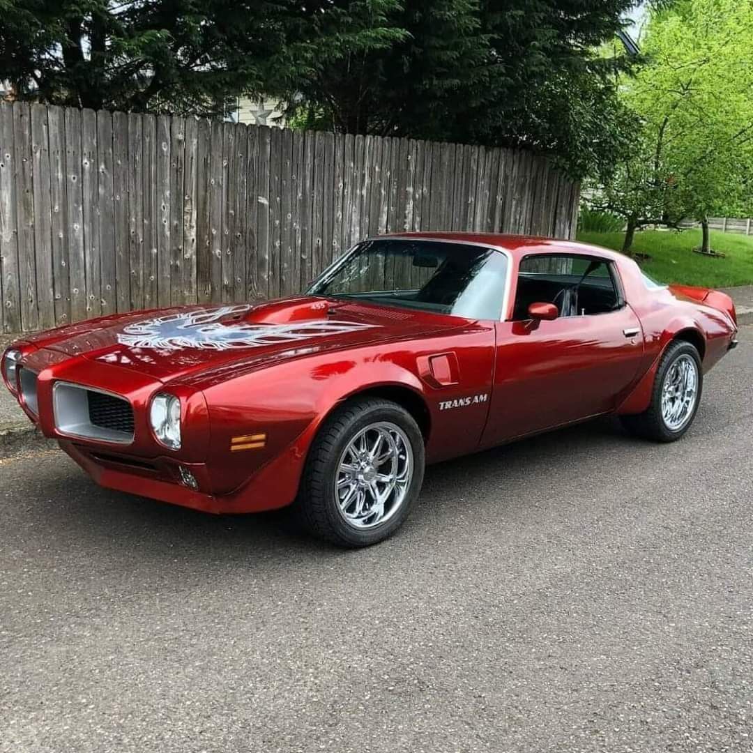 HappyMotorhead's tweet photo. 1973 Pontiac Firebird Trans Am 

Go or No Go? https://t.co/Q9szgIYzCY