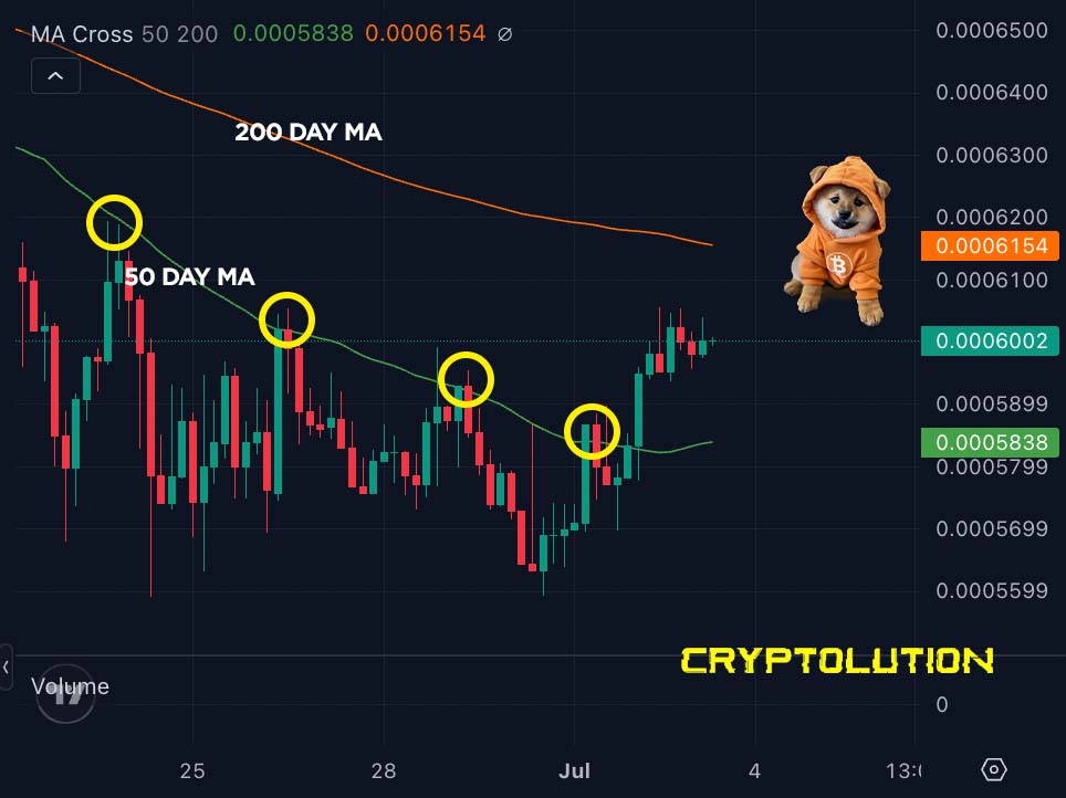 Cryptolution's tweet photo. 🚨UPDATE: solana:dog1viwbb2vWDpER5FrJ4YFG6gq6XuyFohUe9TXN65u (Bitcoin) breaks above the 50-day moving average (green line) on the 4H chart. https://t.co/cgjmWRGuEA