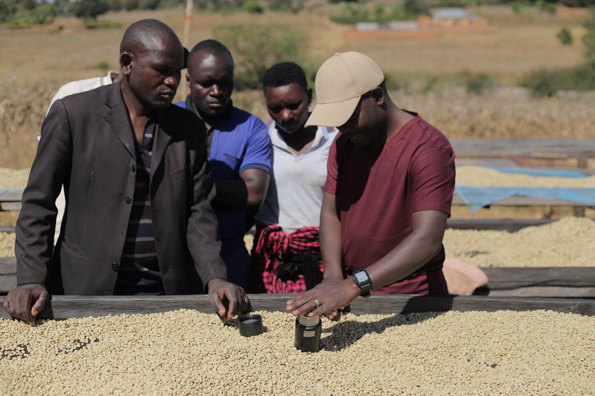 agnimble's tweet photo. Empowering farmers starts with practical tools.

This week, we donated a moisture meter, smartphone, and tablet to a cooperative in Tanzania to improve quality control and traceability.

Small investments. Lasting impact. 🌱☕ https://t.co/26I7NF9Q4k